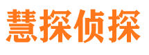 乐都市侦探调查公司